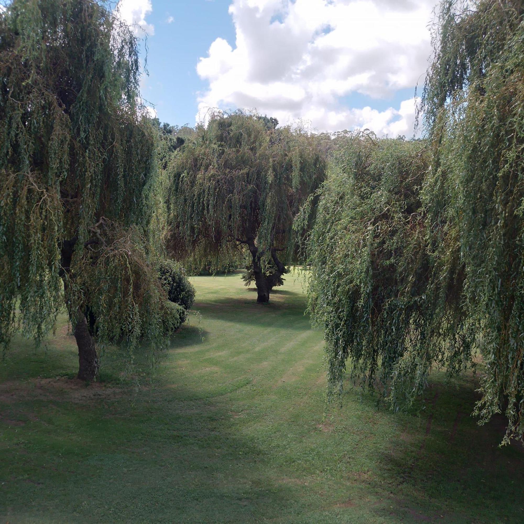 Village Park Tandil Exterior photo
